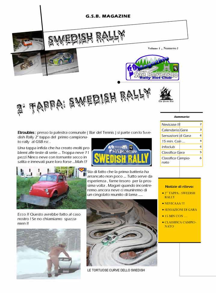 SVEDISH RALLY